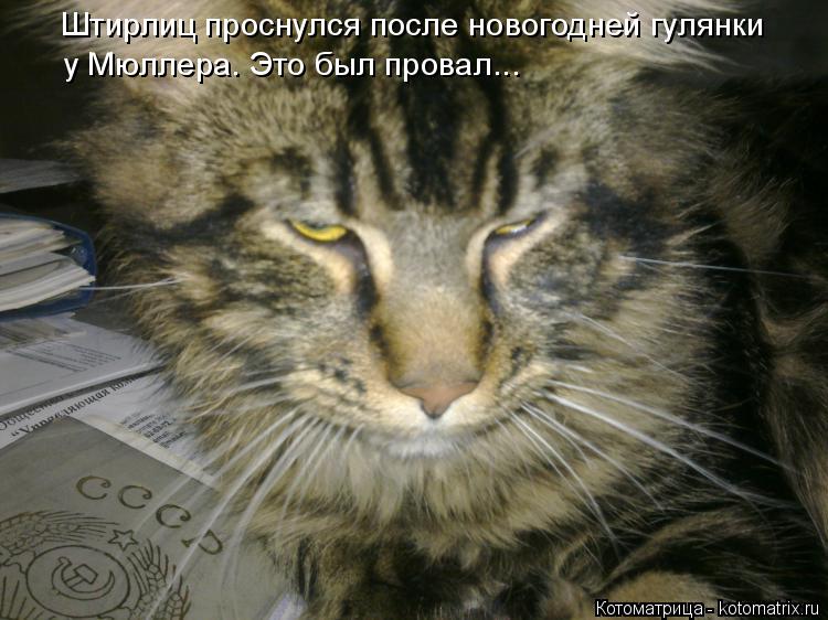 Котоматрица: Штирлиц проснулся после новогодней гулянки у Мюллера. Это был провал...