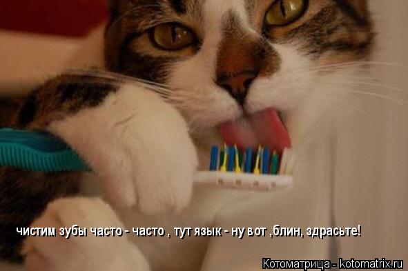 Котоматрица: чистим зубы часто - часто , тут язык - ну вот ,блин, здрасьте!