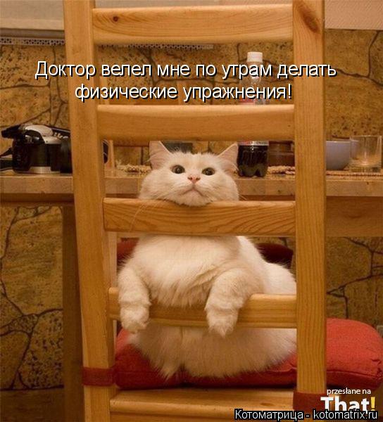 Доктор велел мне по утрам делать физические упражнения!... Котоматрица: Доктор велел мне по утрам делать физические упражнения!