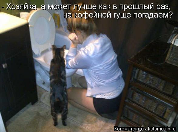 Котоматрица: на кофейной гуще погадаем? - Хозяйка, а может лучше как в прошлый раз,