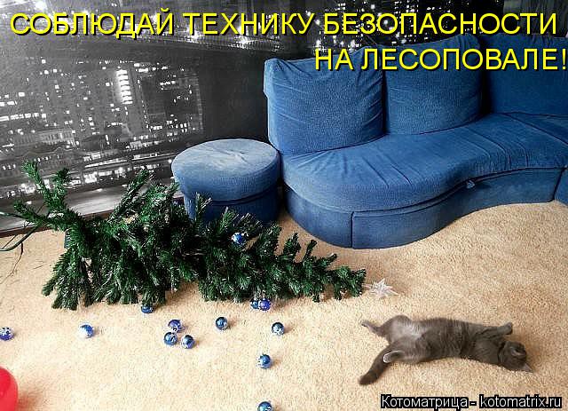Котоматрица: СОБЛЮДАЙ ТЕХНИКУ БЕЗОПАСНОСТИ   НА ЛЕСОПОВАЛЕ!