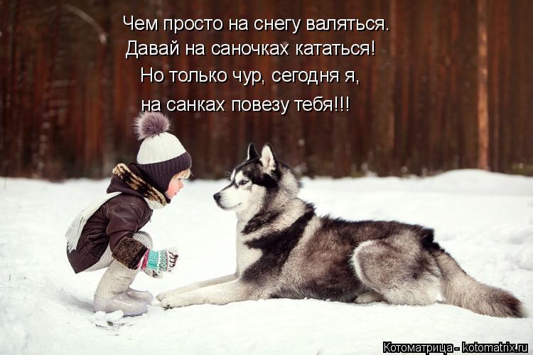 Котоматрица: Чем просто на снегу валяться. Давай на саночках кататься! Но только чур, сегодня я, на санках повезу тебя!!!
