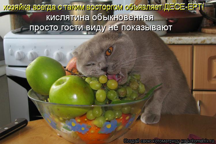 Котоматрица: хозяйка всегда с таким восторгом объявляет:ДЕСЕ-ЕРТ!  хозяйка всегда с таким восторгом объявляет:ДЕСЕ-ЕРТ!  кислятина обыкновенная просто г