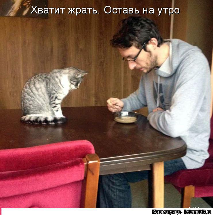 Котоматрица: Хватит жрать. Оставь на утро