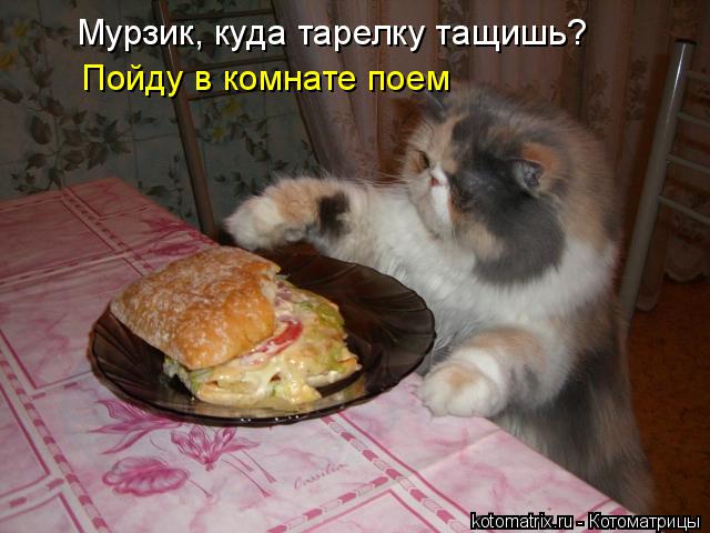 Котоматрица: Мурзик, куда тарелку тащишь? Пойду в комнате поем