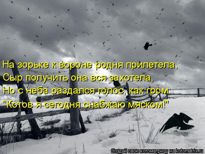 Котоматрица: На зорьке к вороне родня прилетела, Сыр получить она вся захотела, Но с неба раздался голос, как гром: "Котов я сегодня снабжаю мяском!"