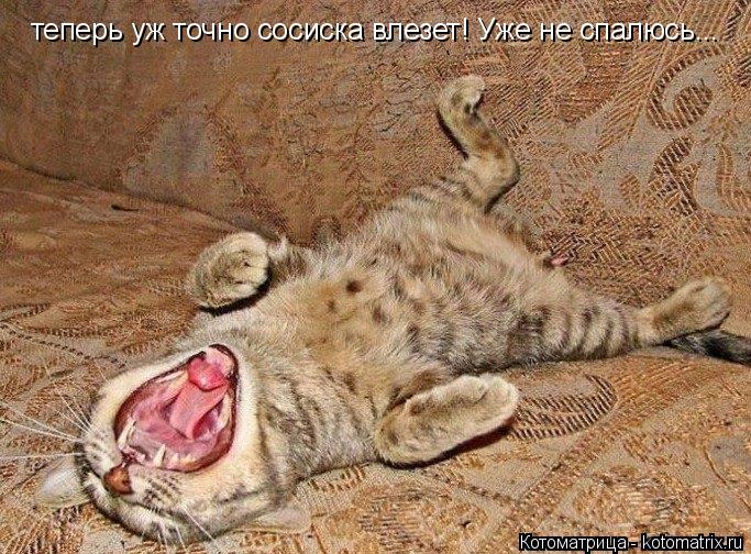 теперь уж точно сосиска влезет! Уже не спалюсь...... Котоматрица: теперь уж точно сосиска влезет! Уже не спалюсь...