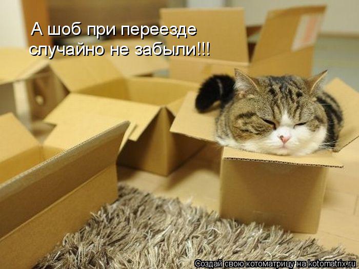 А шоб при переезде случайно не забыли!!!... Котоматрица: А шоб при переезде случайно не забыли!!!