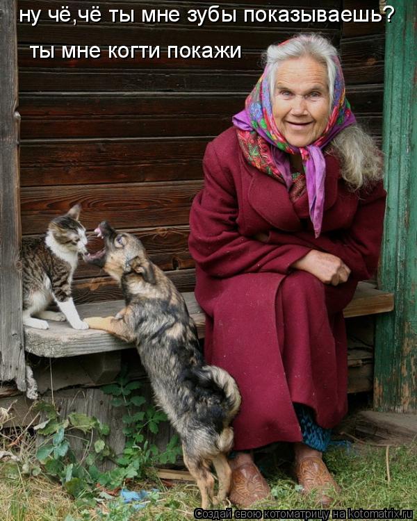 Котоматрица: ну чё,чё ты мне зубы показываешь? ты мне когти покажи