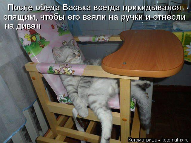 После обеда Васька всегда прикидывался спящим, чтобы его взяли на ручки и отнесли на диван... Котоматрица: После обеда Васька всегда прикидывался спящим, чтобы его взяли на ручки и отнесли на диван