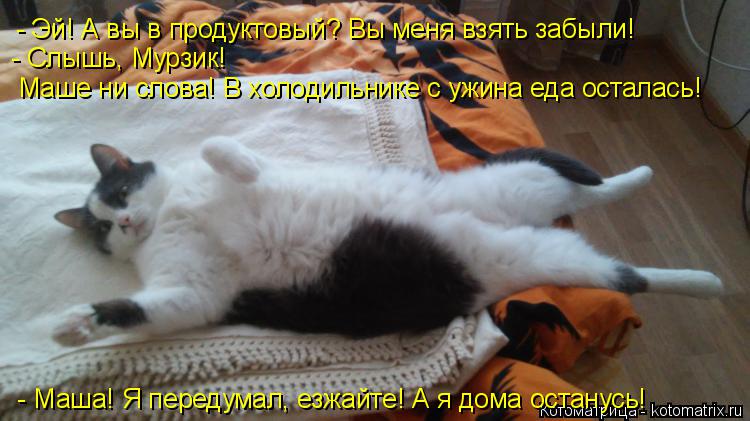- Эй! А вы в продуктовый? Вы меня взять забыли! - Слышь, Мурзик! Маше ни слова! В холодильнике с ужи... Котоматрица: - Эй! А вы в продуктовый? Вы меня взять забыли! - Слышь, Мурзик! Маше ни слова! В холодильнике с ужина еда осталась! - Маша! Я передумал, езжайте!