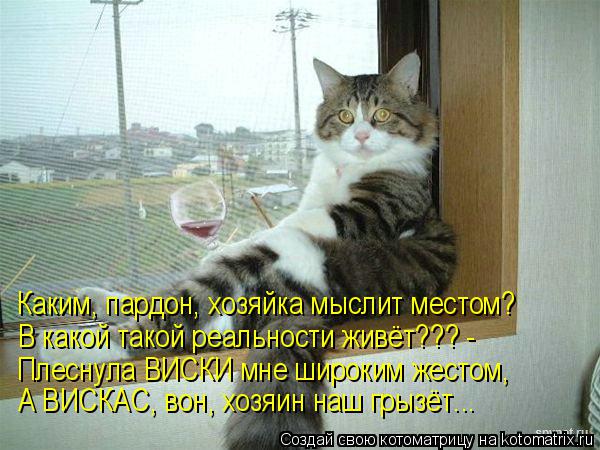 Каким, пардон, хозяйка мыслит местом? В какой такой реальности живёт??? - Плеснула ВИСКИ мне широким ... Котоматрица: Каким, пардон, хозяйка мыслит местом? В какой такой реальности живёт??? - Плеснула ВИСКИ мне широким жестом, А ВИСКАС, вон, хозяин наш грызёт...