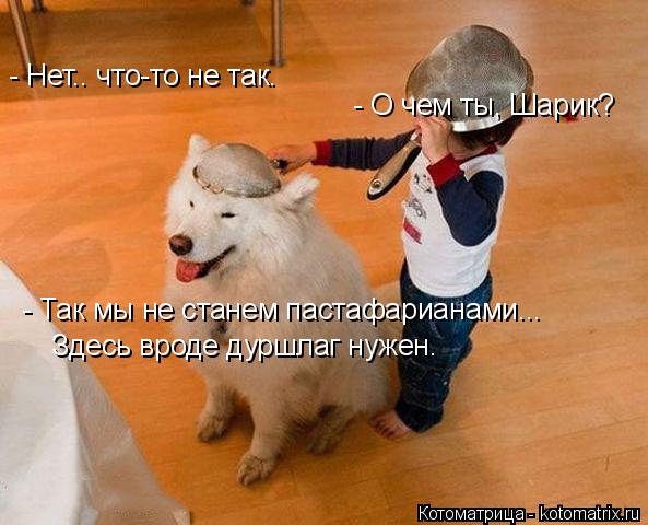 Котоматрица: - Нет.. что-то не так. - О чем ты, Шарик? - Так мы не станем пастафарианами... Здесь вроде дуршлаг нужен.