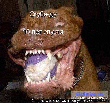 Скуби-ду 10 лет спустя... Котоматрица: Скуби-ду 10 лет спустя
