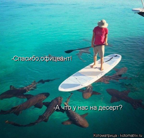-Спасибо,офицеант! -А что у нас на десерт?... Котоматрица: -Спасибо,офицеант! -А что у нас на десерт?