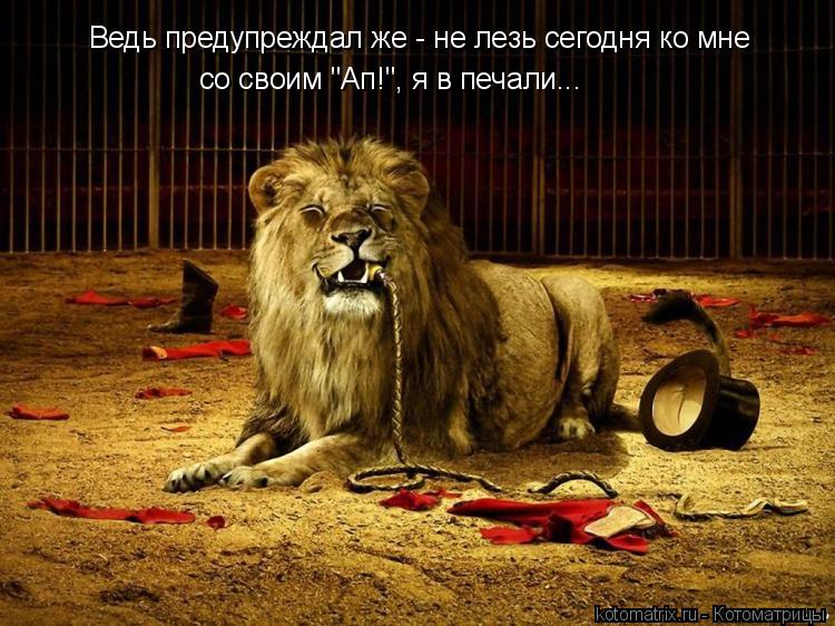 со своим "Ап!", я в печали... Ведь предупреждал же - не лезь сегодня ко мне... Котоматрица: со своим "Ап!", я в печали... Ведь предупреждал же - не лезь сегодня ко мне