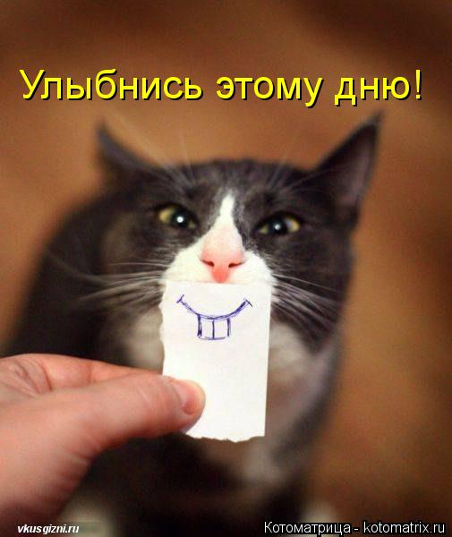 Улыбнись этому дню!... Котоматрица: Улыбнись этому дню!