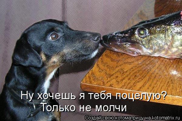 Ну хочешь я тебя поцелую? Только не молчи... Котоматрица: Ну хочешь я тебя поцелую? Только не молчи