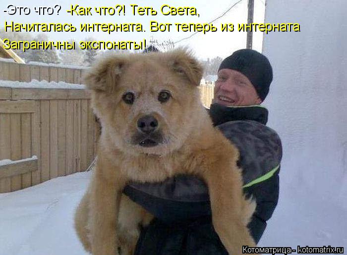 -Это что? -Как что?! Теть Света, Начиталась интерната. Вот теперь из интерната Заграничны экспонаты!... Котоматрица: -Это что? -Как что?! Теть Света, Начиталась интерната. Вот теперь из интерната Заграничны экспонаты!