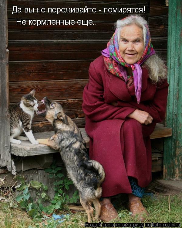 Не кормленные еще... Да вы не переживайте - помирятся!... Котоматрица: Не кормленные еще... Да вы не переживайте - помирятся!