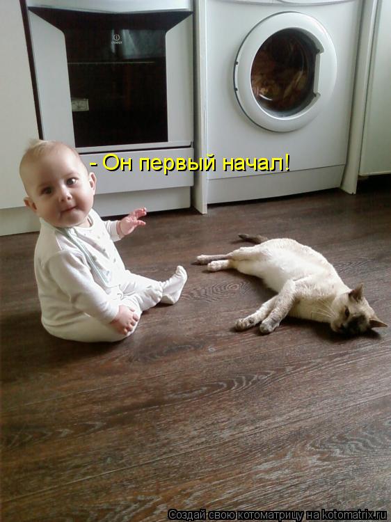 - Он первый начал!... Котоматрица: - Он первый начал!