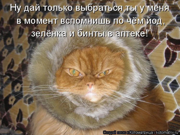 Ну дай только выбраться,ты у меня в момент вспомнишь по чём йод, зелёнка и бинты в аптеке!... Котоматрица: Ну дай только выбраться,ты у меня в момент вспомнишь по чём йод, зелёнка и бинты в аптеке!