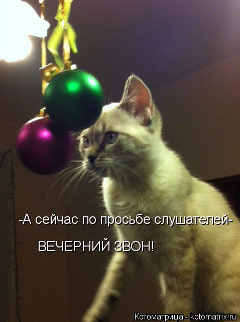-А сейчас по просьбе слушателей- ВЕЧЕРНИЙ ЗВОН!... Котоматрица: -А сейчас по просьбе слушателей- ВЕЧЕРНИЙ ЗВОН!