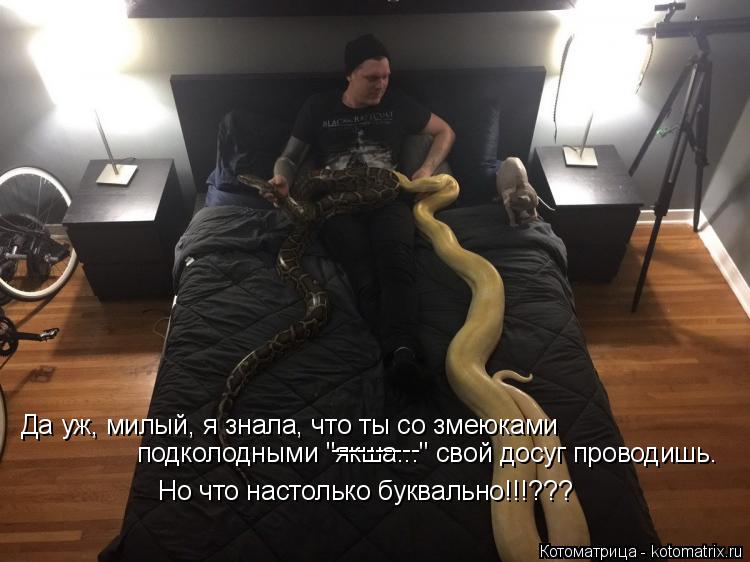Да уж, милый, я знала, что ты со змеюками подколодными "якша..." свой досуг проводишь. Но что настоль... Котоматрица: Да уж, милый, я знала, что ты со змеюками подколодными "якша..." свой досуг проводишь. Но что настолько буквально!!!??? ----------