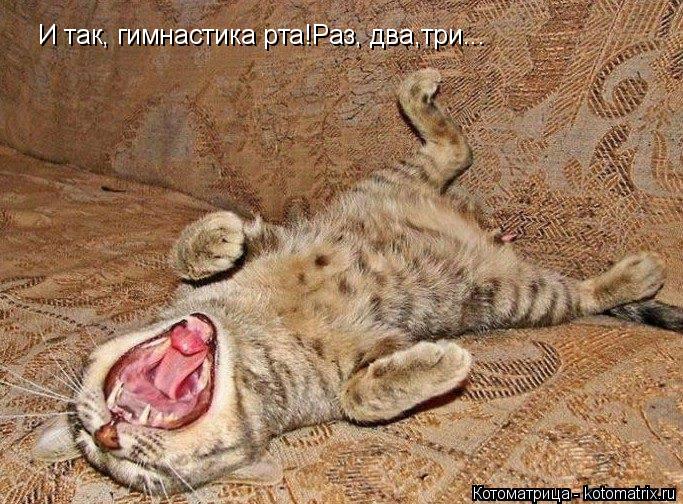 И так, гимнастика рта!Раз, два,три...... Котоматрица: И так, гимнастика рта!Раз, два,три...