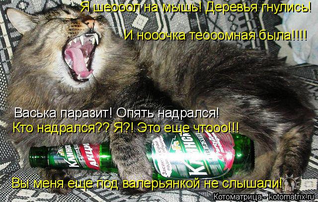 И нооочка теооомная была!!!! Васька паразит! Опять надрался! Кто надрался?? Я?! Это еще чтооо!!! Я ше... Котоматрица: И нооочка теооомная была!!!! Васька паразит! Опять надрался! Кто надрался?? Я?! Это еще чтооо!!! Я шеооол на мышь! Деревья гнулись! Вы меня еще по