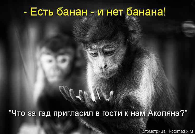- Есть банан - и нет банана! "Что за гад пригласил в гости к нам Акопяна?"... Котоматрица: - Есть банан - и нет банана! "Что за гад пригласил в гости к нам Акопяна?"