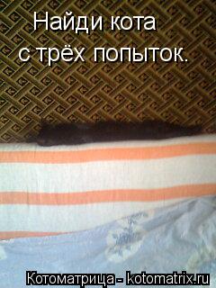Найди кота с трёх попыток.... Котоматрица: Найди кота с трёх попыток.