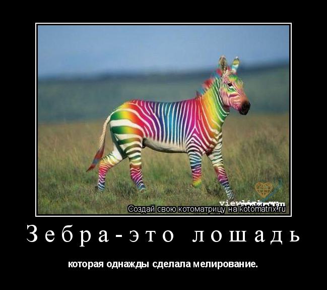 Зебра-это лошадь которая однажды сделала мелирование.... Котоматрица: Зебра-это лошадь которая однажды сделала мелирование.