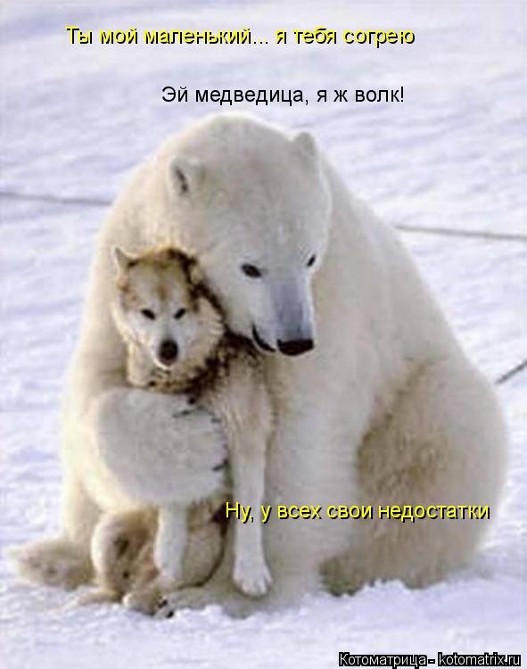 Эй медведица, я ж волк! Ты мой маленький... я тебя согрею Ну, у всех свои недостатки... Котоматрица: Эй медведица, я ж волк! Ты мой маленький... я тебя согрею Ну, у всех свои недостатки