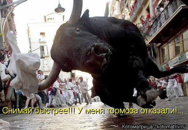 Снимай быстрее!!! У меня тормоза отказали!...... Котоматрица: Снимай быстрее!!! У меня тормоза отказали!...