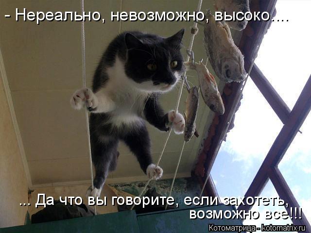 - Нереально, невозможно, высоко.... ... Да что вы говорите, если захотеть, возможно все!!!... Котоматрица: - Нереально, невозможно, высоко.... ... Да что вы говорите, если захотеть, возможно все!!!