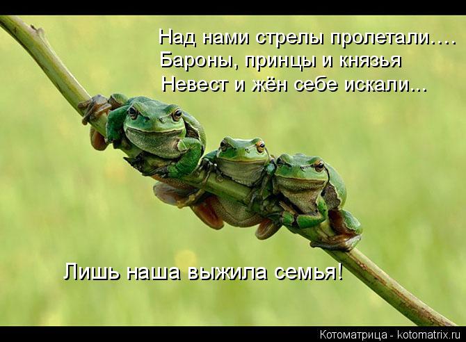 Над нами стрелы пролетали…. Бароны, принцы и князья Невест и жён себе искали... Лишь наша выжила сем... Котоматрица: Над нами стрелы пролетали…. Бароны, принцы и князья Невест и жён себе искали... Лишь наша выжила семья!