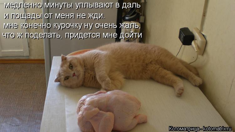 медленно минуты уплывают в даль мне конечно курочку ну очень жаль, что ж поделать, придется мне дойти... Котоматрица: медленно минуты уплывают в даль мне конечно курочку ну очень жаль, что ж поделать, придется мне дойти и пощады от меня не жди.
