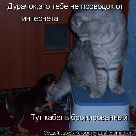 -Дурачок,это тебе не проводок от интернета. Тут кабель бронированный.... Котоматрица: -Дурачок,это тебе не проводок от интернета. Тут кабель бронированный.
