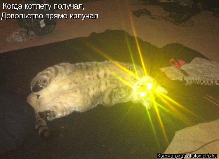 Когда котлету получал, Довольство прямо излучал... Котоматрица: Когда котлету получал, Довольство прямо излучал