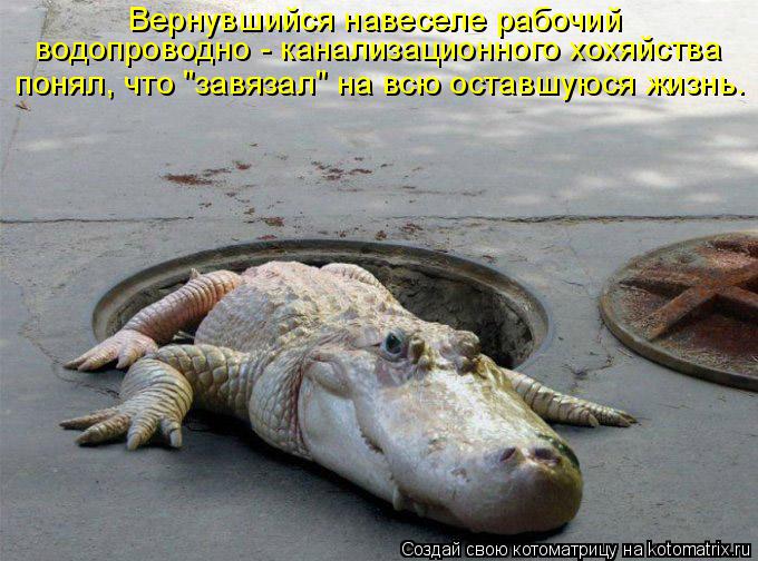 Вернувшийся навеселе рабочий водопроводно - канализационного хохяйства понял, что "завязал" на всю о... Котоматрица: Вернувшийся навеселе рабочий водопроводно - канализационного хохяйства понял, что "завязал" на всю оставшуюся жизнь.