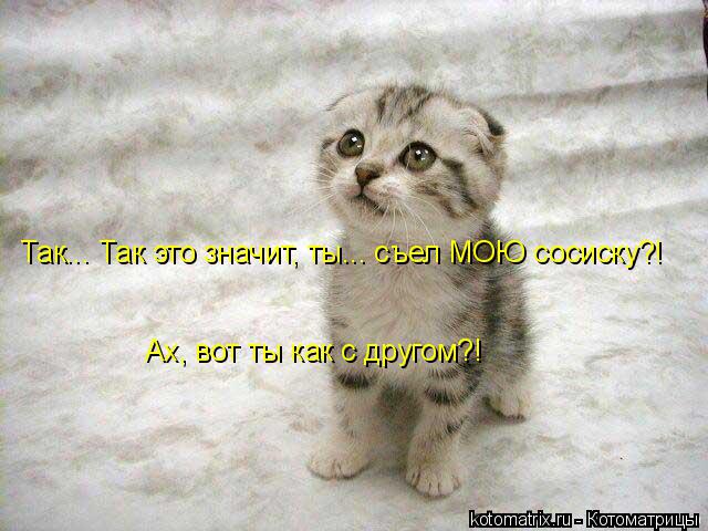 Так... Так это значит, ты... съел МОЮ сосиску?! Ах, вот ты как с другом?!... Котоматрица: Так... Так это значит, ты... съел МОЮ сосиску?! Ах, вот ты как с другом?!