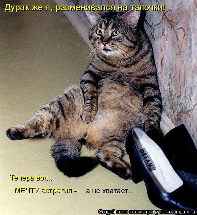 Дурак же я, разменивался на тапочки! Теперь вот... МЕЧТУ встретил - а не хватает...... Котоматрица: Дурак же я, разменивался на тапочки! Теперь вот... МЕЧТУ встретил - а не хватает...