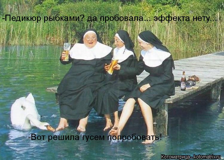 -Педикюр рыбками? да пробовала... эффекта нету... -Вот решила гусем попробовать!... Котоматрица: -Педикюр рыбками? да пробовала... эффекта нету... -Вот решила гусем попробовать!
