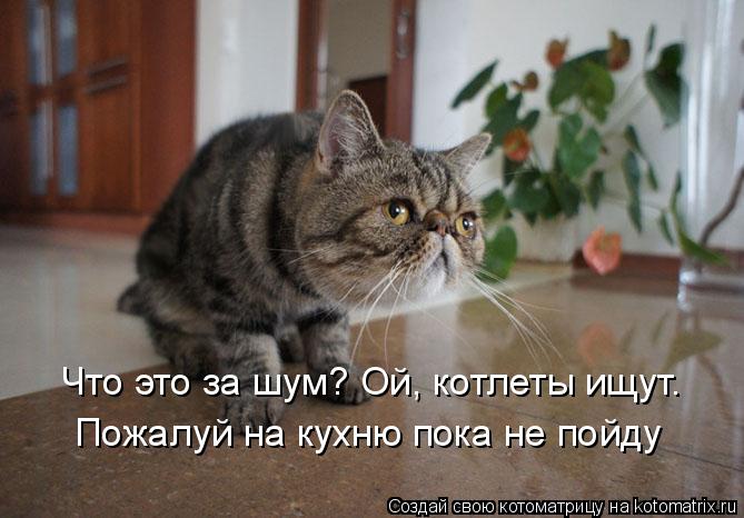 Что это за шум? Ой, котлеты ищут. Пожалуй на кухню пока не пойду... Котоматрица: Что это за шум? Ой, котлеты ищут. Пожалуй на кухню пока не пойду
