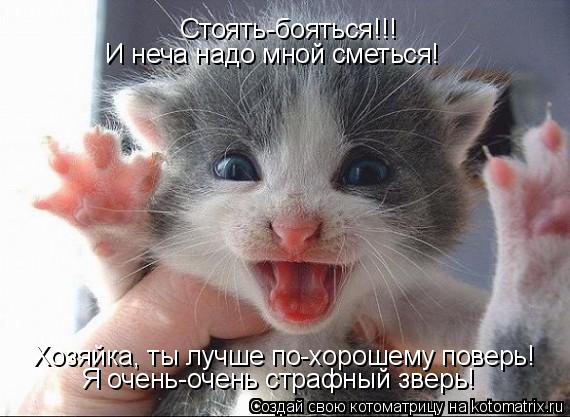 Стоять-бояться!!! И неча надо мной сметься! Хозяйка, ты лучше по-хорошему поверь! Я очень-очень страф... Котоматрица: Стоять-бояться!!! И неча надо мной сметься! Хозяйка, ты лучше по-хорошему поверь! Я очень-очень страфный зверь!