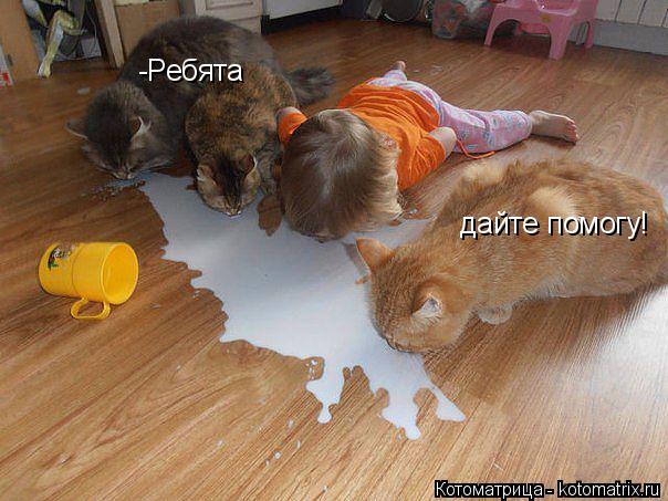 -Ребята дайте помогу!... Котоматрица: -Ребята дайте помогу!