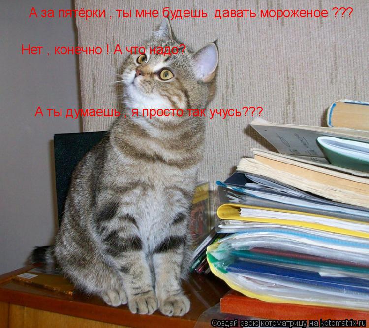 А за пятёрки , ты мне будешь давать мороженое ??? Нет , конечно ! А что надо? А ты думаешь , я прост... Котоматрица: А за пятёрки , ты мне будешь давать мороженое ??? Нет , конечно ! А что надо? А ты думаешь , я просто так учусь???