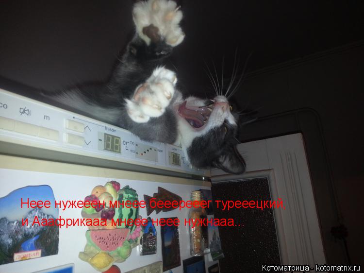 Неее нужееен мнеее бееерееег турееецкий, и Ааафрикааа мнеее неее нужнааа...... Котоматрица: Неее нужееен мнеее бееерееег турееецкий, и Ааафрикааа мнеее неее нужнааа...