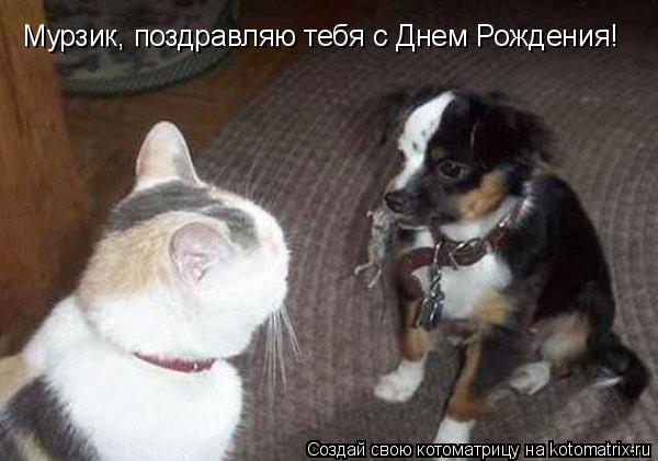 Мурзик, поздравляю тебя с Днем Рождения!... Котоматрица: Мурзик, поздравляю тебя с Днем Рождения!
